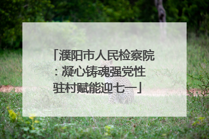 濮阳市人民检察院：凝心铸魂强党性 驻村赋能迎七一