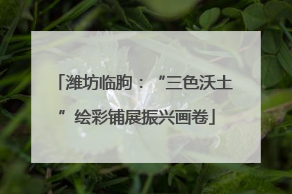 潍坊临朐：“三色沃土”绘彩铺展振兴画卷