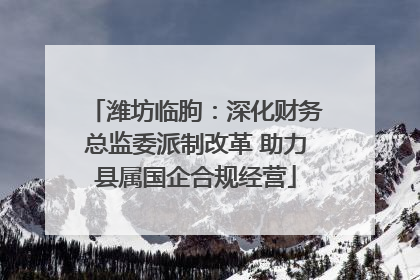 潍坊临朐：深化财务总监委派制改革 助力县属国企合规经营