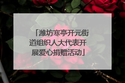 潍坊寒亭开元街道组织人大代表开展爱心捐赠活动