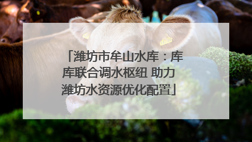 潍坊市牟山水库：库库联合调水枢纽 助力潍坊水资源优化配置