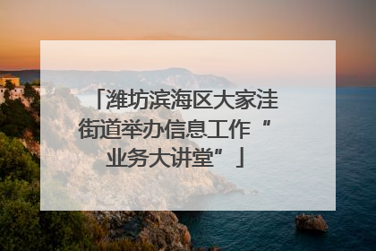 潍坊滨海区大家洼街道举办信息工作“业务大讲堂”
