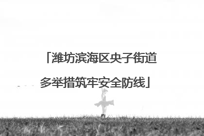 潍坊滨海区央子街道多举措筑牢安全防线