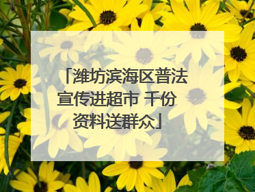 潍坊滨海区普法宣传进超市 千份资料送群众