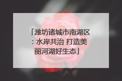 潍坊诸城市南湖区：水岸共治 打造美丽河湖好生态