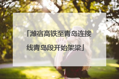 潍宿高铁至青岛连接线青岛段开始架梁