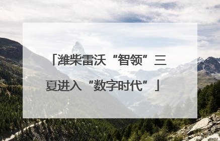 潍柴雷沃“智领”三夏进入“数字时代”