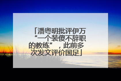 潘粤明批评伊万“一个装傻不辞职的教练”，此前多次发文评价国足