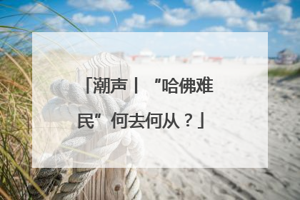 潮声丨“哈佛难民”何去何从？