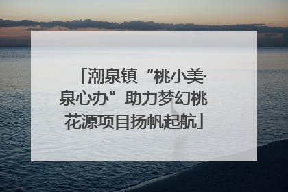 潮泉镇“桃小美·泉心办”助力梦幻桃花源项目扬帆起航