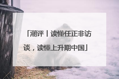 潮评丨读懂任正非访谈，读懂上升期中国