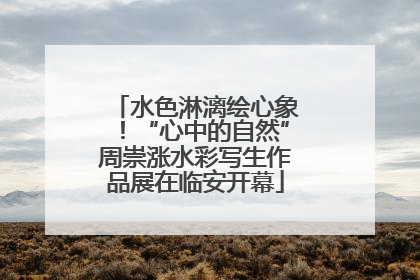 水色淋漓绘心象！“心中的自然”周崇涨水彩写生作品展在临安开幕