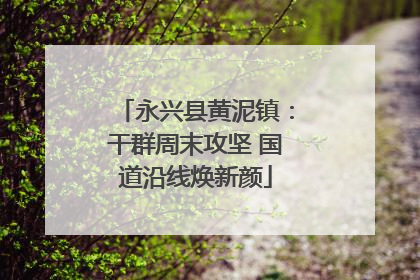 永兴县黄泥镇：干群周末攻坚 国道沿线焕新颜
