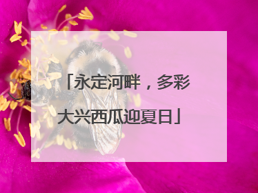 永定河畔，多彩大兴西瓜迎夏日