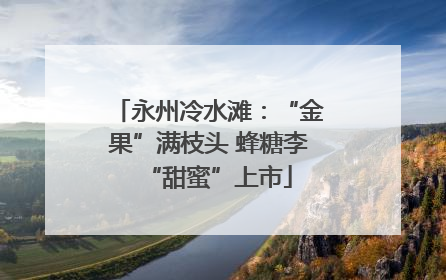 永州冷水滩：“金果”满枝头 蜂糖李“甜蜜”上市