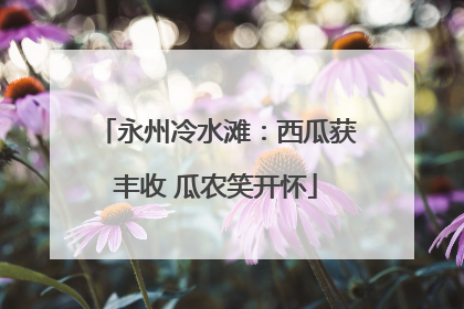 永州冷水滩：西瓜获丰收 瓜农笑开怀