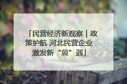 民营经济新观察｜政策护航 河北民营企业激发新“冀”遇