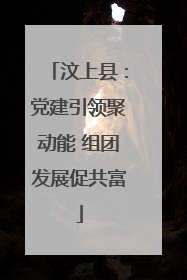 汶上县：党建引领聚动能 组团发展促共富