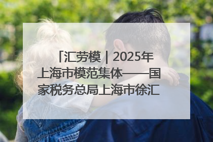 汇劳模｜2025年上海市模范集体——国家税务总局上海市徐汇区税务局第一税务所