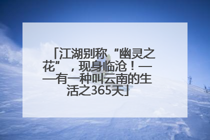 江湖别称“幽灵之花”，现身临沧！——有一种叫云南的生活之365天
