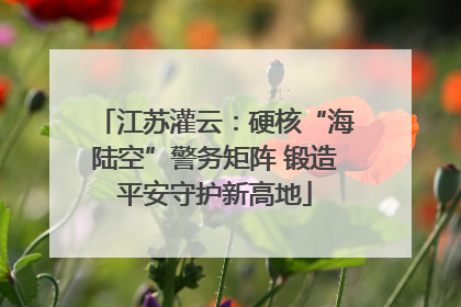 江苏灌云：硬核“海陆空”警务矩阵 锻造平安守护新高地