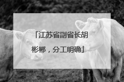 江苏省副省长胡彬郴，分工明确