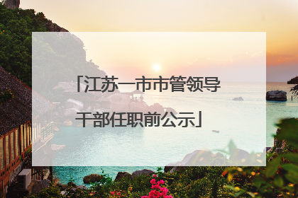 江苏一市市管领导干部任职前公示