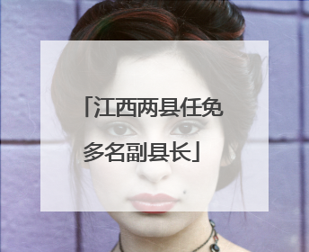江西两县任免多名副县长
