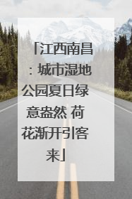 江西南昌：城市湿地公园夏日绿意盎然 荷花渐开引客来