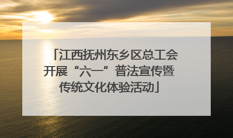江西抚州东乡区总工会开展“六一”普法宣传暨传统文化体验活动