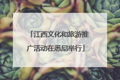 江西文化和旅游推广活动在悉尼举行