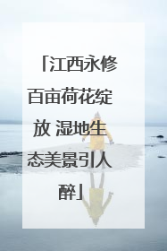 江西永修百亩荷花绽放 湿地生态美景引人醉