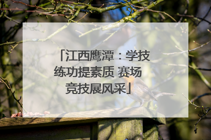 江西鹰潭：学技练功提素质 赛场竞技展风采