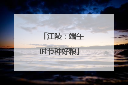 江陵：端午时节种好粮