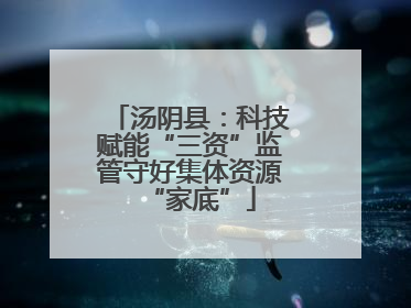 汤阴县：科技赋能“三资”监管守好集体资源“家底”