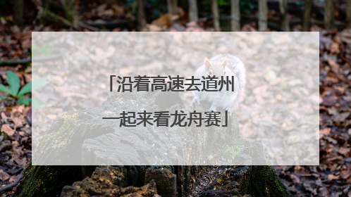 沿着高速去道州 一起来看龙舟赛