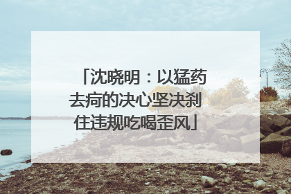 沈晓明：以猛药去疴的决心坚决刹住违规吃喝歪风