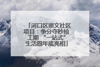 河口区崇文社区项目：争分夺秒抢工期 “一站式”生活圈年底亮相