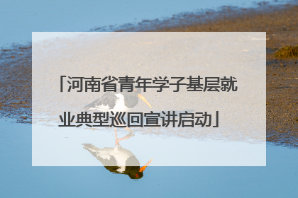 河南省青年学子基层就业典型巡回宣讲启动
