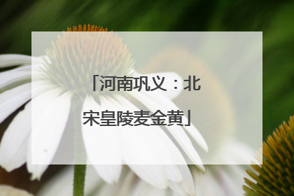 河南巩义：北宋皇陵麦金黄