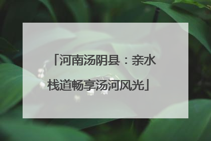 河南汤阴县：亲水栈道畅享汤河风光