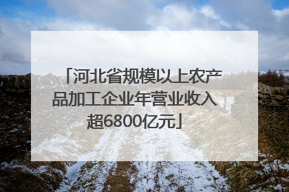 河北省规模以上农产品加工企业年营业收入超6800亿元