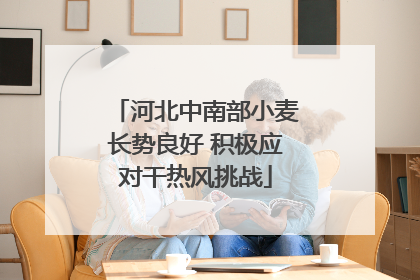 河北中南部小麦长势良好 积极应对干热风挑战