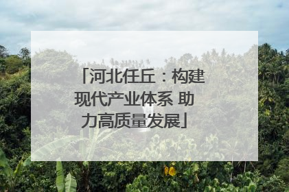 河北任丘：构建现代产业体系 助力高质量发展