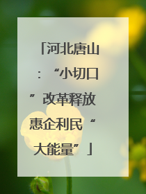 河北唐山：“小切口”改革释放惠企利民“大能量”