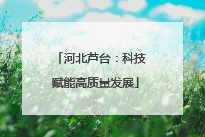 河北芦台：科技赋能高质量发展