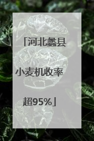 河北蠡县小麦机收率超95%