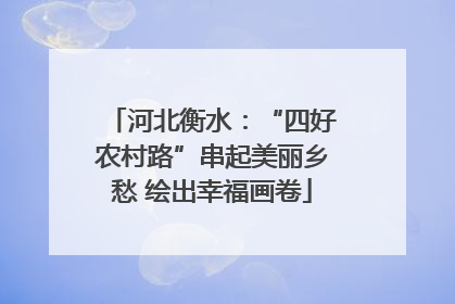 河北衡水：“四好农村路”串起美丽乡愁 绘出幸福画卷