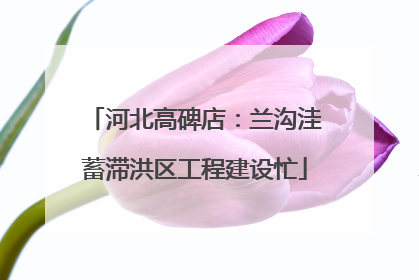 河北高碑店：兰沟洼蓄滞洪区工程建设忙