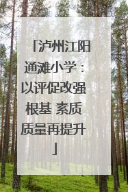 泸州江阳通滩小学：以评促改强根基 素质质量再提升